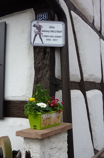 Click to zoom the image