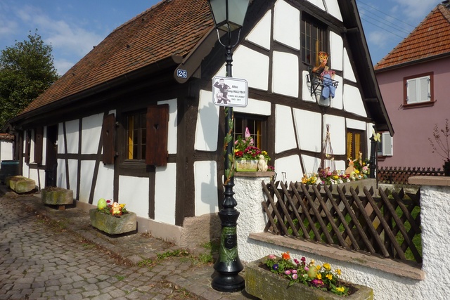 Click to zoom the image