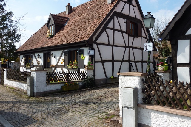 Click to zoom the image