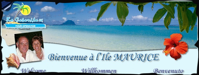 Click to zoom the image