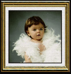 Click to zoom the image