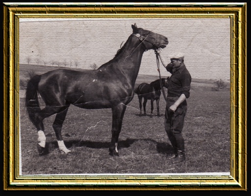 Click to zoom the image