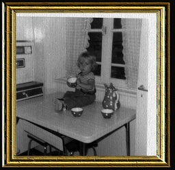 Click to zoom the image