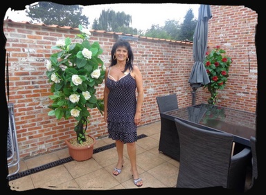 Click to zoom the image