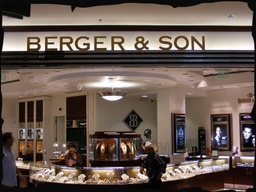 Click to zoom the image